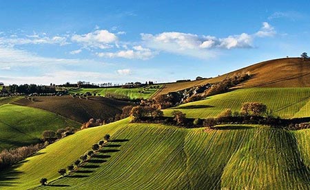 Colli Euganei immagini\calendario\20190406_16.jpg